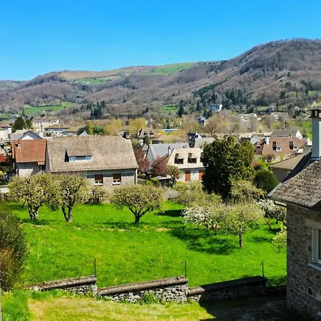 La Maison Des Hortensias Vic-sur-cere, 10 Pers Holiday home *