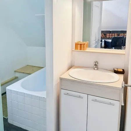 La Maison Des Hortensias Vic-sur-cere, 10 Pers