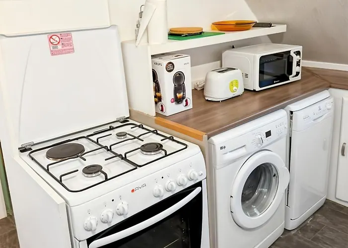 La Maison Des Hortensias Vic-sur-cere, 10 Pers