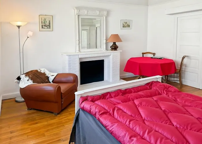 La Maison Des Hortensias Vic-sur-cere, 10 Pers