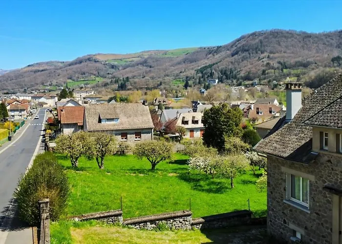 La Maison Des Hortensias Vic-sur-cere, 10 Pers Vic-sur-Cère