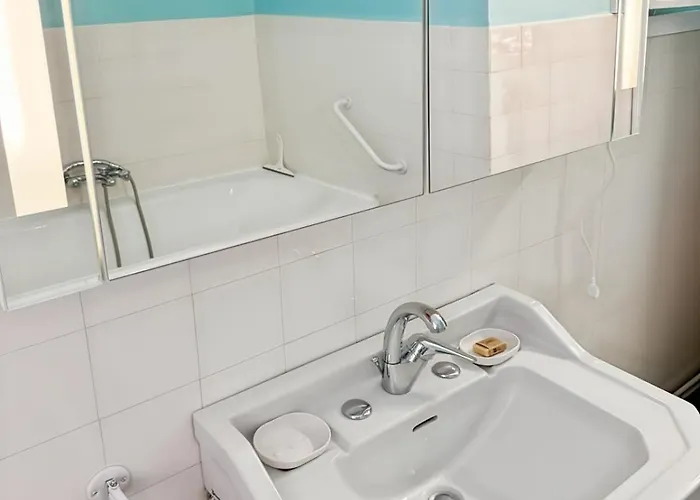 La Maison Des Hortensias Vic-sur-cere, 10 Pers Feriehus *