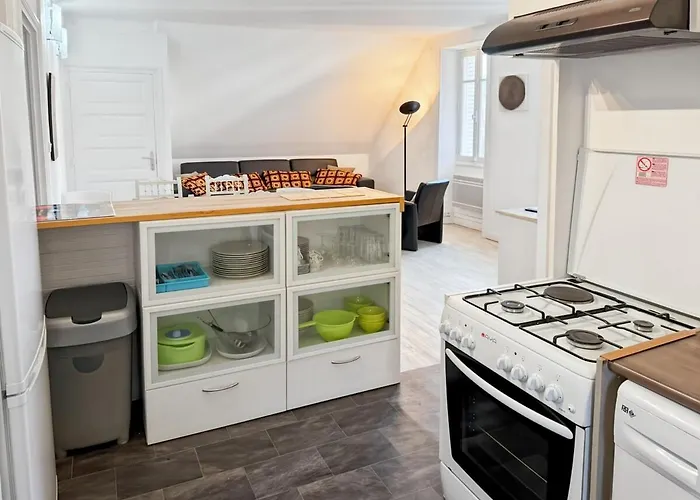 Feriehus La Maison Des Hortensias Vic-sur-cere, 10 Pers