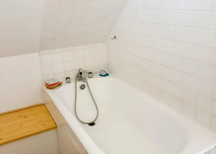 La Maison Des Hortensias Vic-sur-cere, 10 Pers Vic-sur-Cère