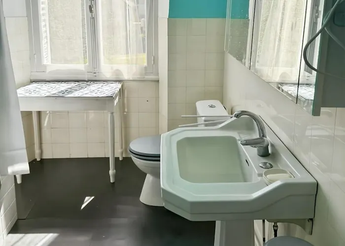 La Maison Des Hortensias Vic-sur-cere, 10 Pers Feriehus Vic-sur-Cère