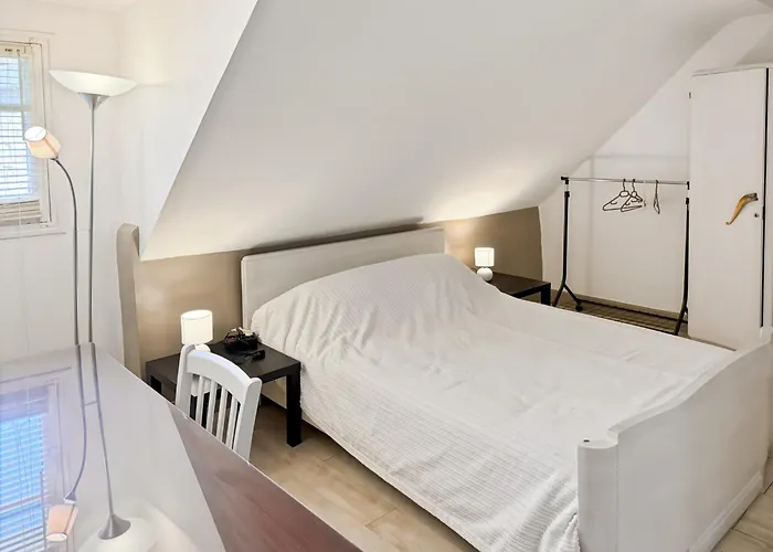 La Maison Des Hortensias Vic-sur-cere, 10 Pers Feriehus Vic-sur-Cère