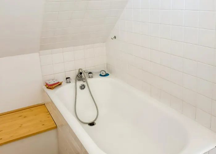 Feriehus La Maison Des Hortensias Vic-sur-cere, 10 Pers Vic-sur-Cère