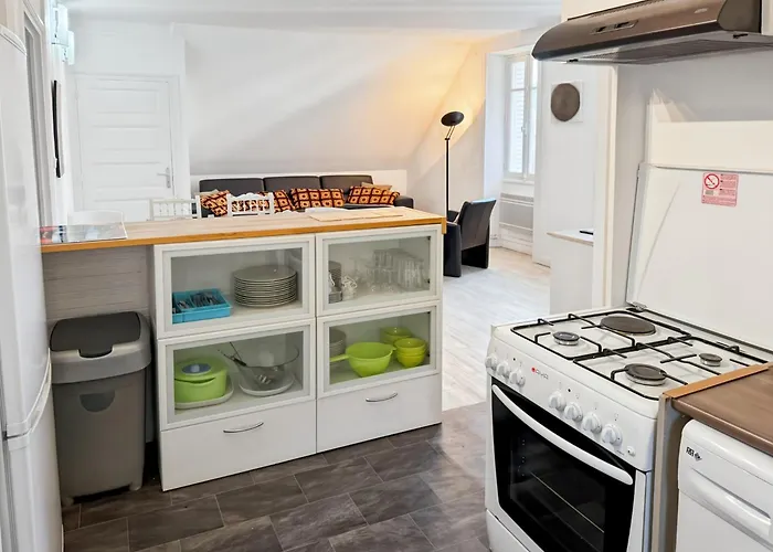 La Maison Des Hortensias Vic-sur-cere, 10 Pers